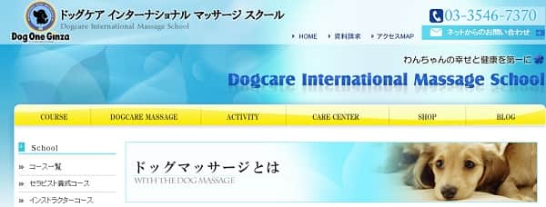 dogcare-international-min