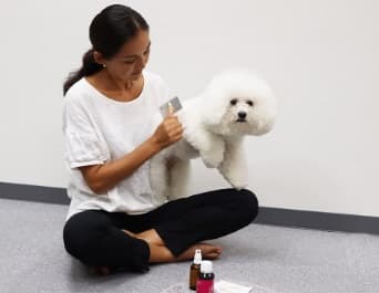 pet-aroma-well-being-certificate-learning-style-min
