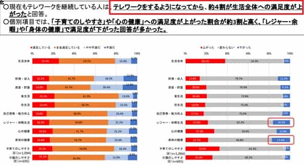 telework-report-min