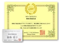 color-therapist-certificate-min