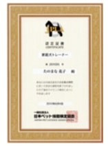 kateiken-certificate-min