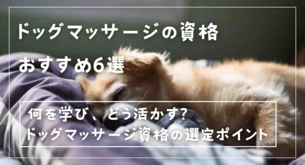 dog-massage-certification-min (2)