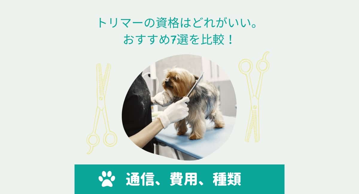 トリマー トレーニング 動物看護 アカデミー通信講座 DVDセット 犬 参考書 トリマーのためのベーシック・ペット・カット md 本 書籍 ペット
