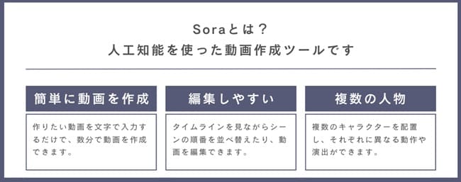 sora-characteristic-min