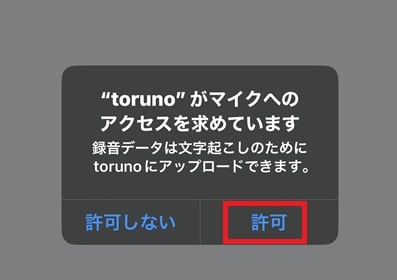 toruno-microphone-allow-min