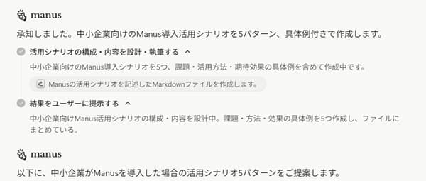 manus-prompt-input-screen-example-output